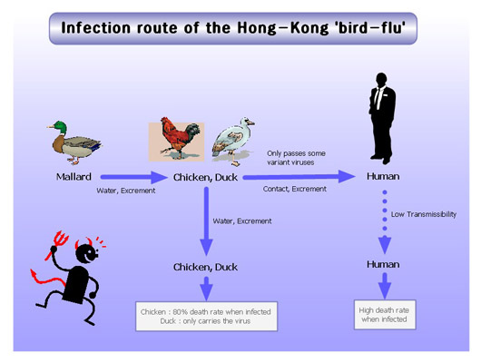 Click to enlarge