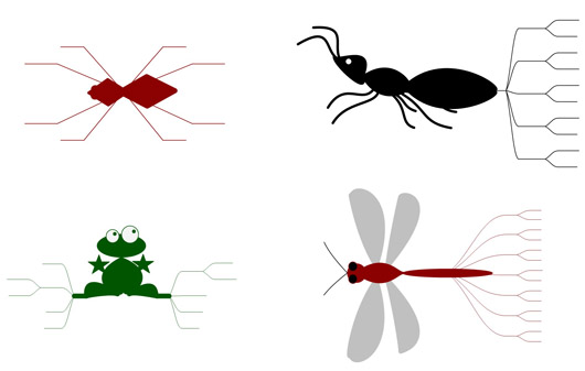 Click to enlarge